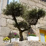 Rh Design Εξοχικό σπίτι Parada (Viana do Castelo)