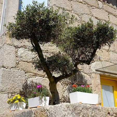 Rh Design Летний дом Parada (Viana do Castelo)