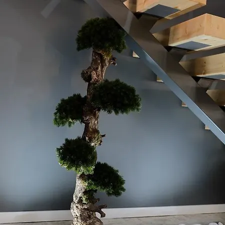 Rh Design Parada (Viana do Castelo)