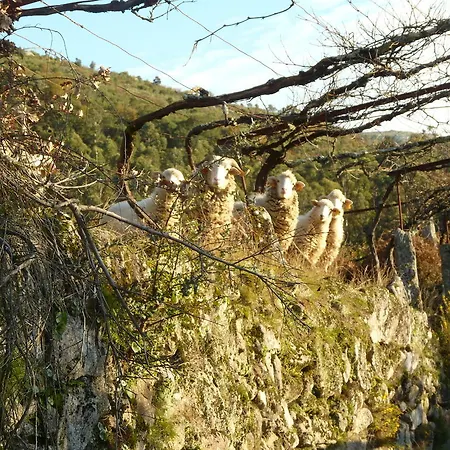 Rh Design Parada (Viana do Castelo)