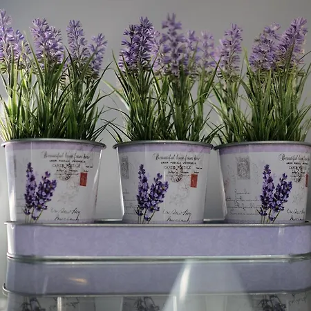 Rh Design Venkovský dům *