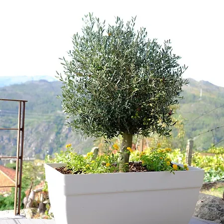 Rh Design Venkovský dům Parada (Viana do Castelo)