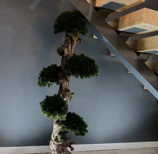 Rh Design Parada (Viana do Castelo)