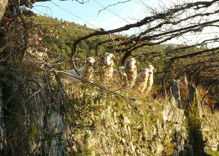 Rh Design Parada (Viana do Castelo)