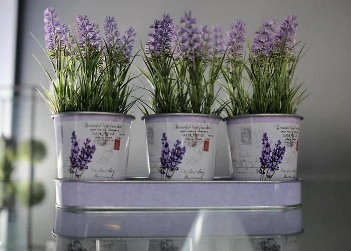 Rh Design Kır Evi *