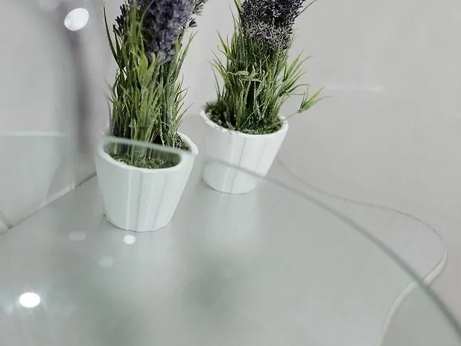 Rh Design Casa de Campo