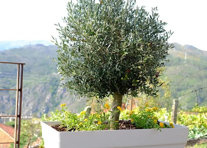 Rh Design Casa de Campo Parada (Viana do Castelo)